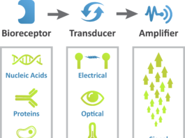 Implantable biosensor operates without batteries